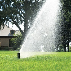 cum stropeste aspersorul rotativ Rain Bird 5000 5004